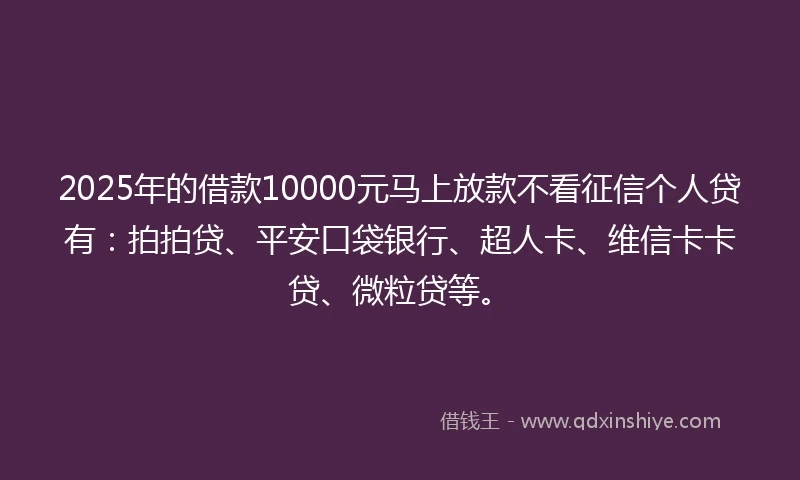 2025年的借款10000元马上放款不看征信个人贷有：拍拍贷、平安口袋银行、超人卡、维信卡卡贷、微粒贷等。
