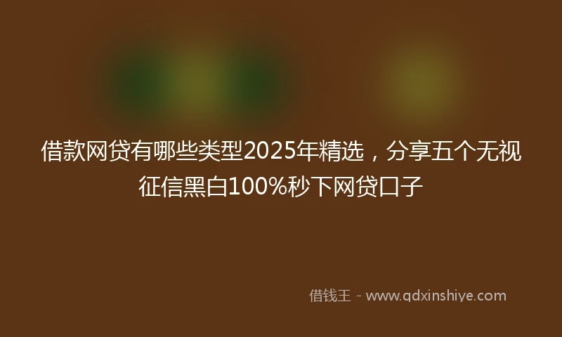 借款网贷有哪些类型2025年精选，分享五个无视征信黑白100%秒下网贷口子
