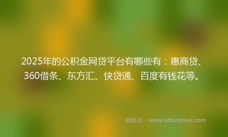 2025年的公积金网贷平台有哪些有：惠商贷、360借条、东方汇、快贷通、百度有钱花等。