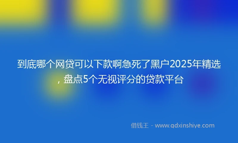 到底哪个网贷可以下款啊急死了黑户2025年精选，盘点5个无视评分的贷款平台