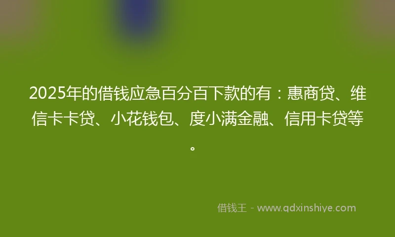 2025年的借钱应急百分百下款的有：惠商贷、维信卡卡贷、小花钱包、度小满金融、信用卡贷等。