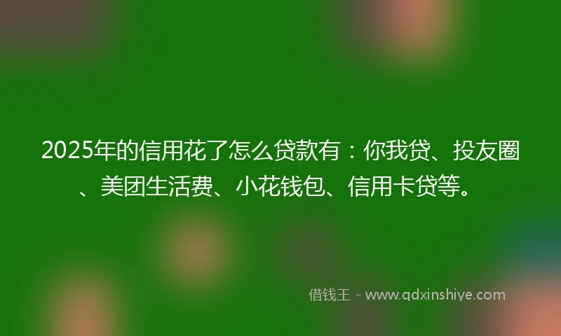 2025年的信用花了怎么贷款有:你我贷、投友圈、美团生活费、小花钱包、信用卡贷等。