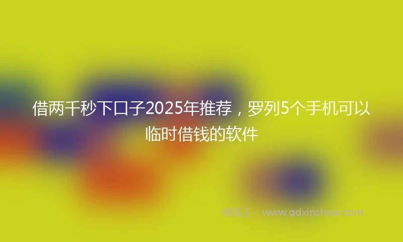 借两千秒下口子2025年推荐，罗列5个手机可以临时借钱的软件