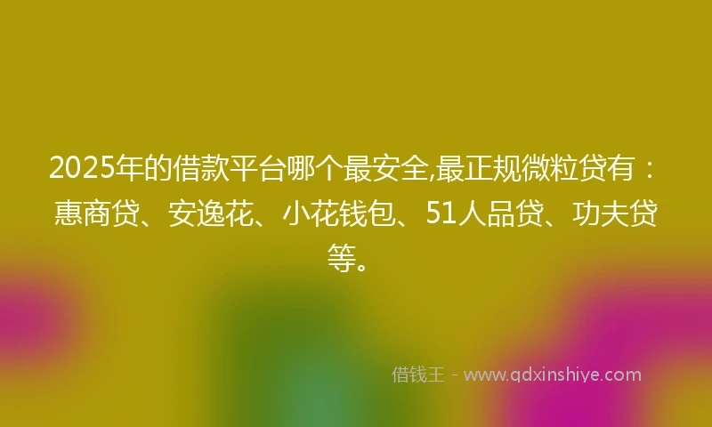 2025年的借款平台哪个最安全,最正规微粒贷有：惠商贷、安逸花、小花钱包、51人品贷、功夫贷等。