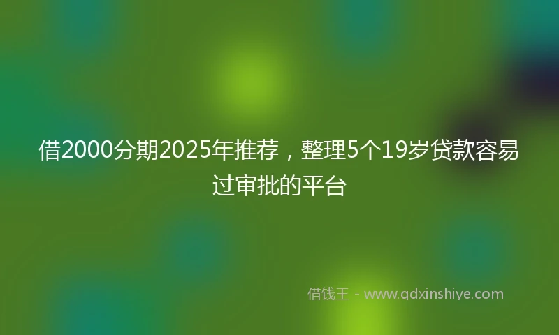 借2000分期2025年推荐，整理5个19岁贷款容易过审批的平台