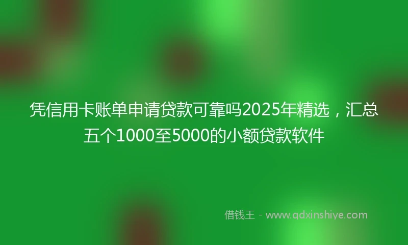 凭信用卡账单申请贷款可靠吗2025年精选，汇总五个1000至5000的小额贷款软件
