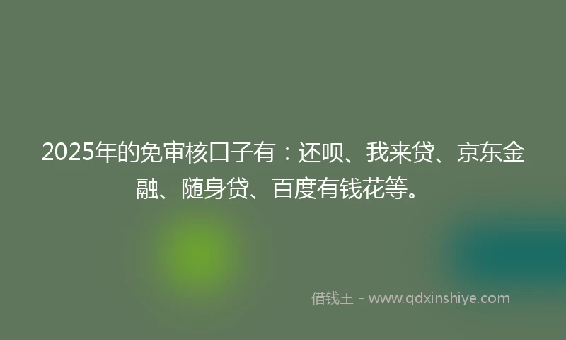 2025年的免审核口子有：还呗、我来贷、京东金融、随身贷、百度有钱花等。