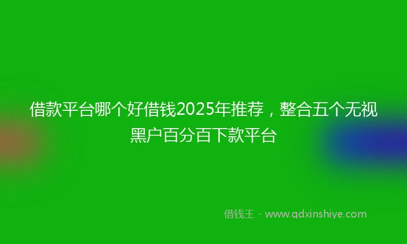 借款平台哪个好借钱2025年推荐，整合五个无视黑户百分百下款平台