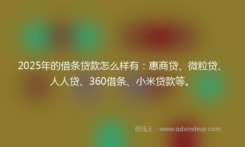 2025年的借条贷款怎么样有：惠商贷、微粒贷、人人贷、360借条、小米贷款等。