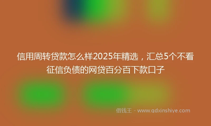 信用周转贷款怎么样2025年精选，汇总5个不看征信负债的网贷百分百下款口子