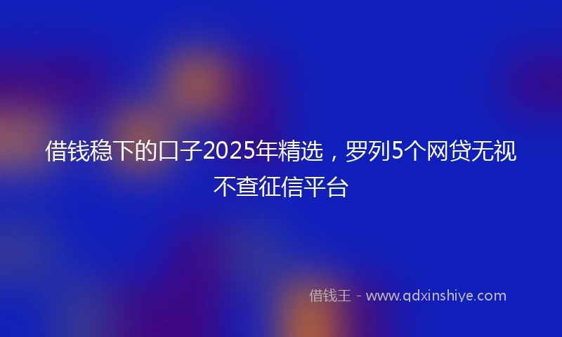 借钱稳下的口子2025年精选，罗列5个网贷无视不查征信平台