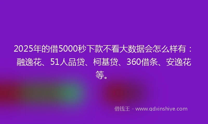 2025年的借5000秒下款不看大数据会怎么样有：融逸花、51人品贷、柯基贷、360借条、安逸花等。
