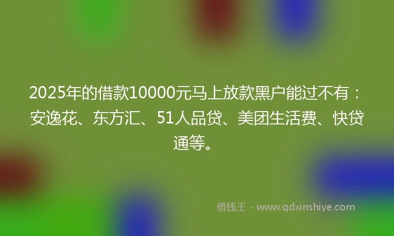 2025年的借款10000元马上放款黑户能过不有：安逸花、东方汇、51人品贷、美团生活费、快贷通等。