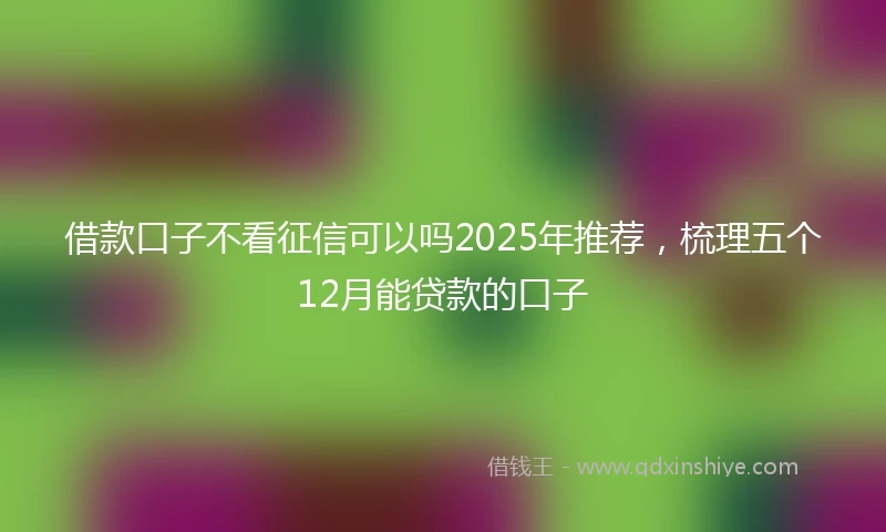 借款口子不看征信可以吗2025年推荐，梳理五个12月能贷款的口子