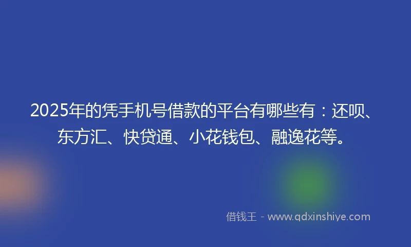 2025年的凭手机号借款的平台有哪些有：还呗、东方汇、快贷通、小花钱包、融逸花等。
