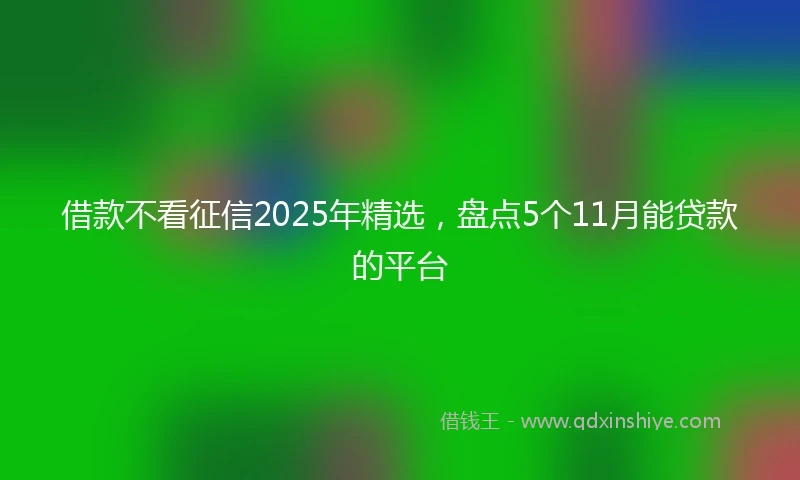 借款不看征信2025年精选，盘点5个11月能贷款的平台