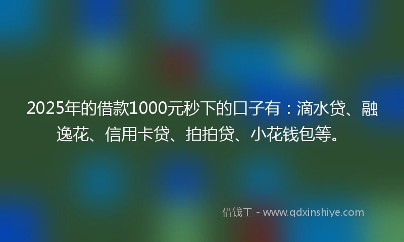 2025年的借款1000元秒下的口子有：滴水贷、融逸花、信用卡贷、拍拍贷、小花钱包等。