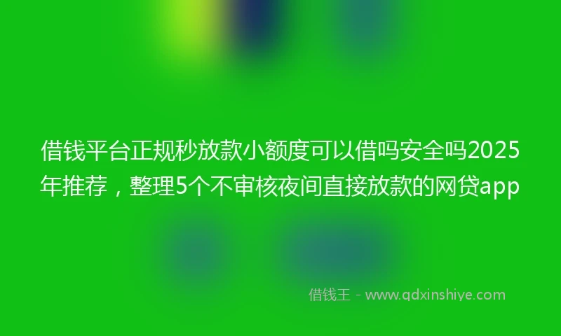 借钱平台正规秒放款小额度可以借吗安全吗2025年推荐，整理5个不审核夜间直接放款的网贷app