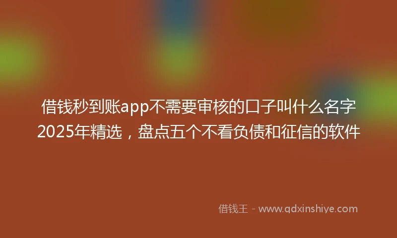 借钱秒到账app不需要审核的口子叫什么名字2025年精选，盘点五个不看负债和征信的软件