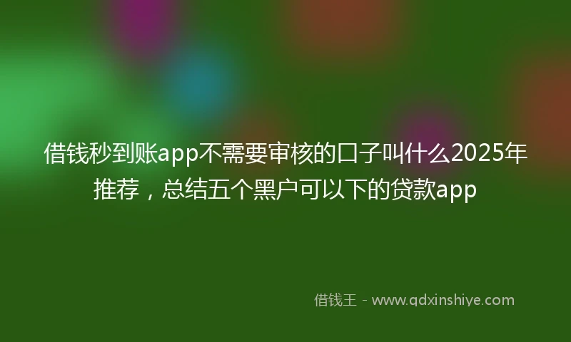 借钱秒到账app不需要审核的口子叫什么2025年推荐，总结五个黑户可以下的贷款app