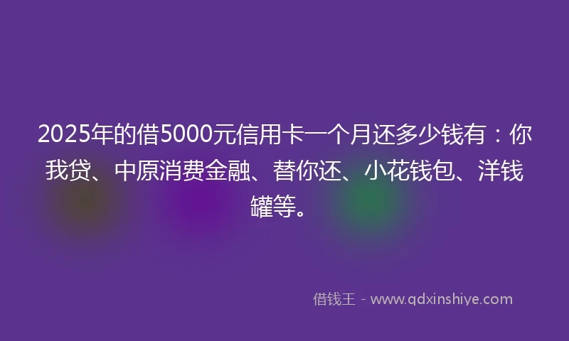 2025年的借5000元信用卡一个月还多少钱有：你我贷、中原消费金融、替你还、小花钱包、洋钱罐等。
