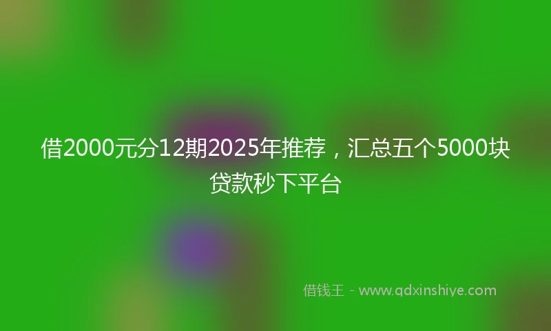 借2000元分12期2025年推荐,汇总五个5000块贷款秒下平台