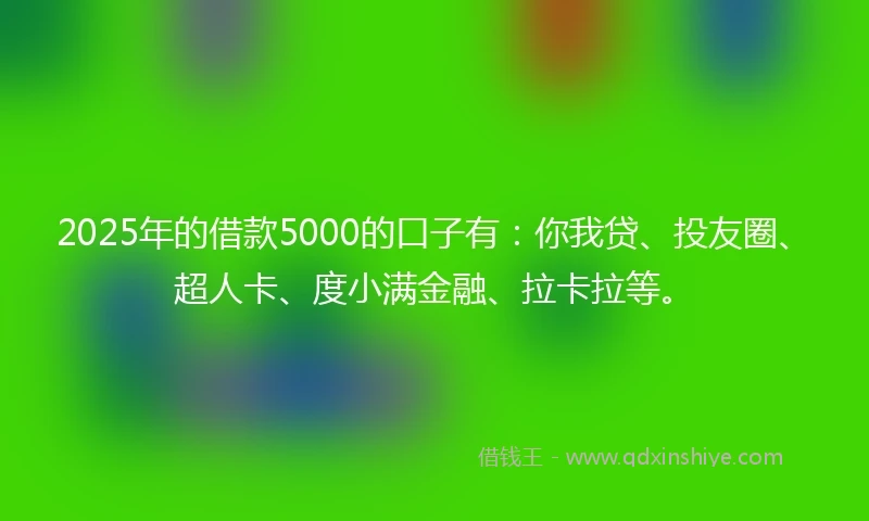 2025年的借款5000的口子有：你我贷、投友圈、超人卡、度小满金融、拉卡拉等。