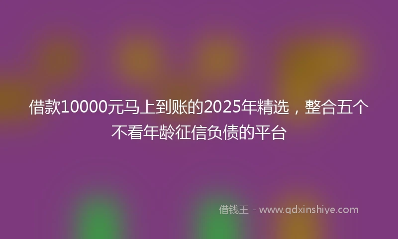 借款10000元马上到账的2025年精选，整合五个不看年龄征信负债的平台
