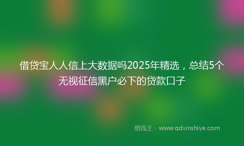 借贷宝人人信上大数据吗2025年精选，总结5个无视征信黑户必下的贷款口子
