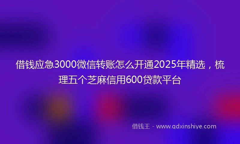 借钱应急3000微信转账怎么开通2025年精选，梳理五个芝麻信用600贷款平台