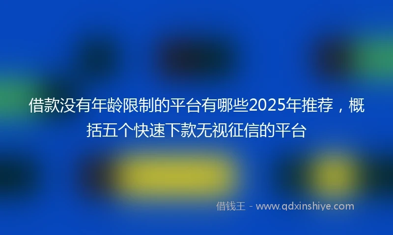 借款没有年龄限制的平台有哪些2025年推荐，概括五个快速下款无视征信的平台