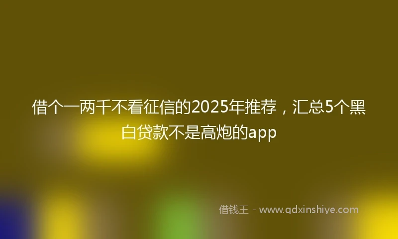 借个一两千不看征信的2025年推荐，汇总5个黑白贷款不是高炮的app
