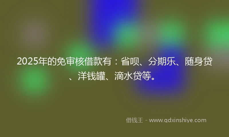 2025年的免审核借款有：省呗、分期乐、随身贷、洋钱罐、滴水贷等。