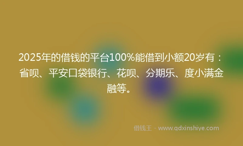 2025年的借钱的平台100%能借到小额20岁有：省呗、平安口袋银行、花呗、分期乐、度小满金融等。