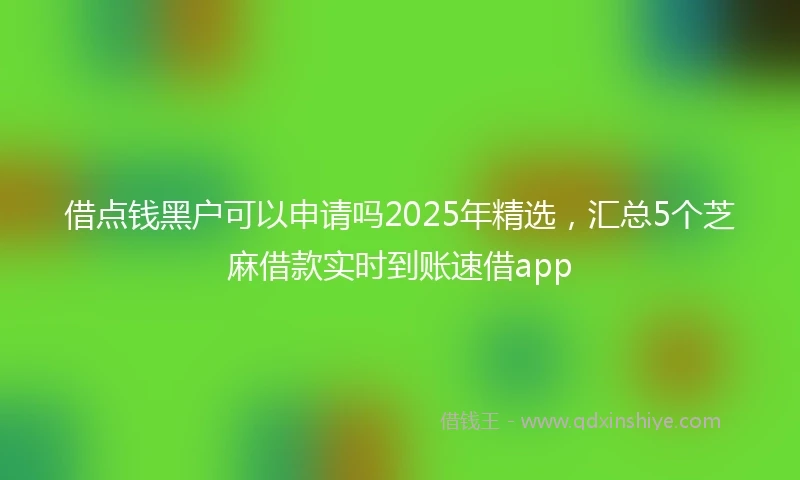 借点钱黑户可以申请吗2025年精选，汇总5个芝麻借款实时到账速借app