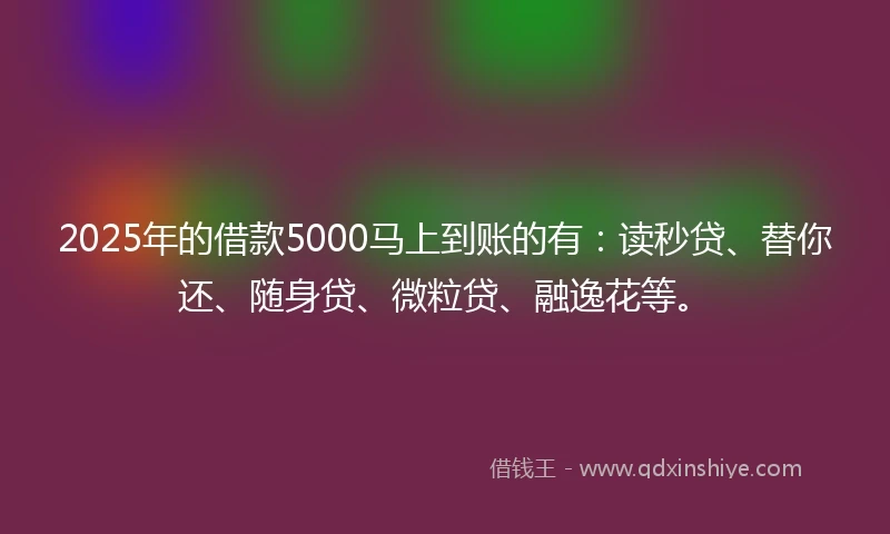 2025年的借款5000马上到账的有:读秒贷、替你还、随身贷、微粒贷、融逸花等。
