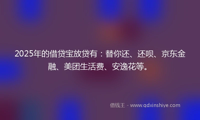 2025年的借贷宝放贷有：替你还、还呗、京东金融、美团生活费、安逸花等。