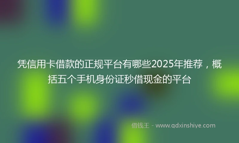凭信用卡借款的正规平台有哪些2025年推荐，概括五个手机身份证秒借现金的平台