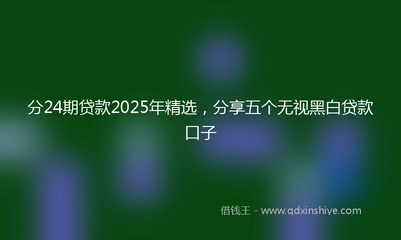 分24期贷款2025年精选，分享五个无视黑白贷款口子