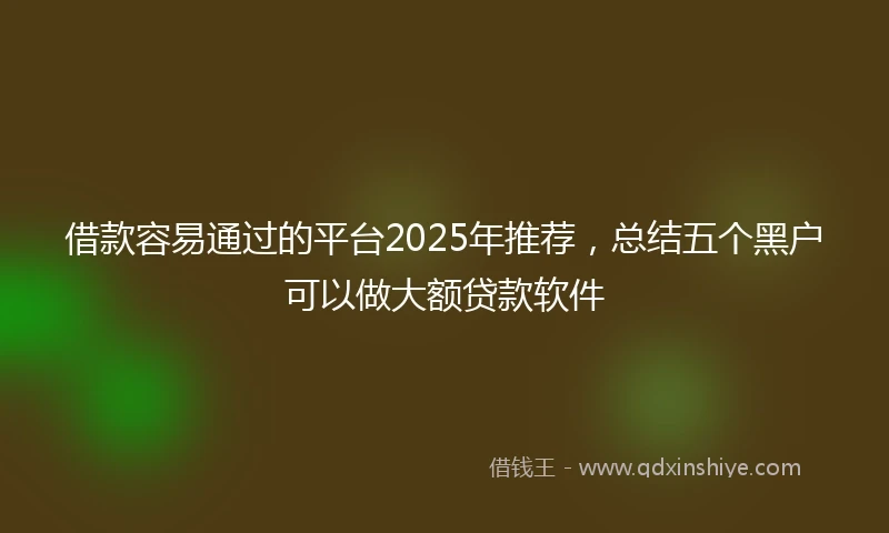 借款容易通过的平台2025年推荐,总结五个黑户可以做大额贷款软件