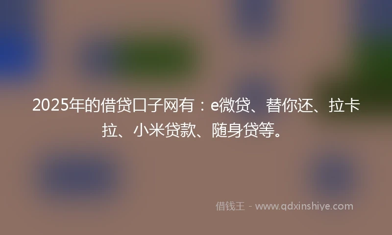 2025年的借贷口子网有：e微贷、替你还、拉卡拉、小米贷款、随身贷等。