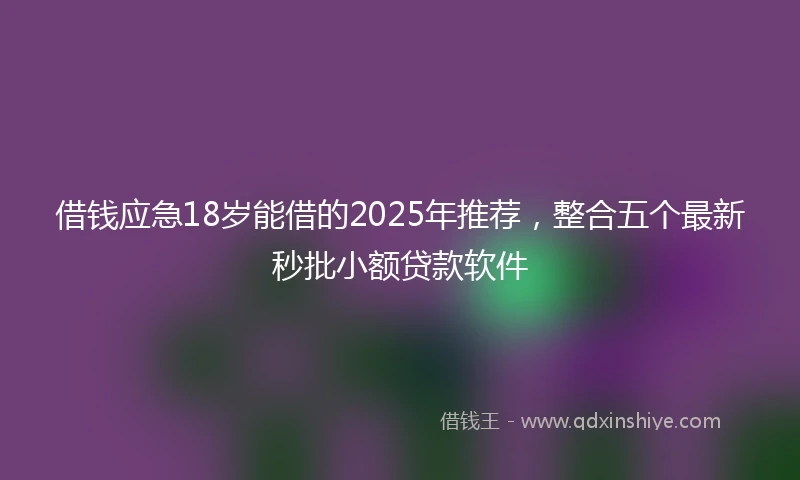 借钱应急18岁能借的2025年推荐，整合五个最新秒批小额贷款软件
