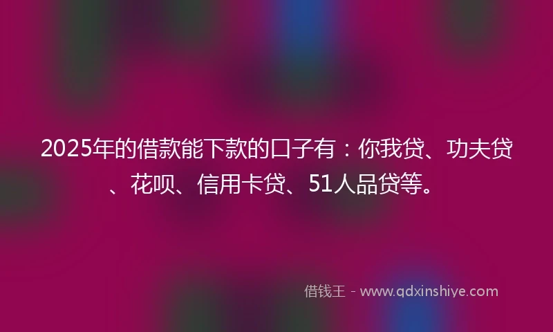 2025年的借款能下款的口子有：你我贷、功夫贷、花呗、信用卡贷、51人品贷等。