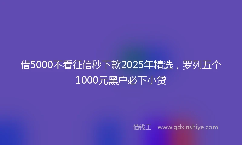 借5000不看征信秒下款2025年精选，罗列五个1000元黑户必下小贷