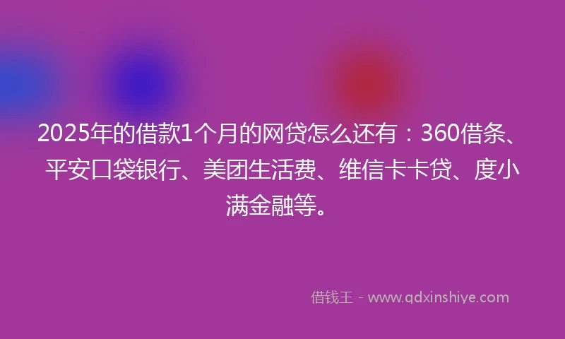 2025年的借款1个月的网贷怎么还有：360借条、平安口袋银行、美团生活费、维信卡卡贷、度小满金融等。