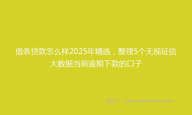 借条贷款怎么样2025年精选，整理5个无视征信大数据当前逾期下款的口子
