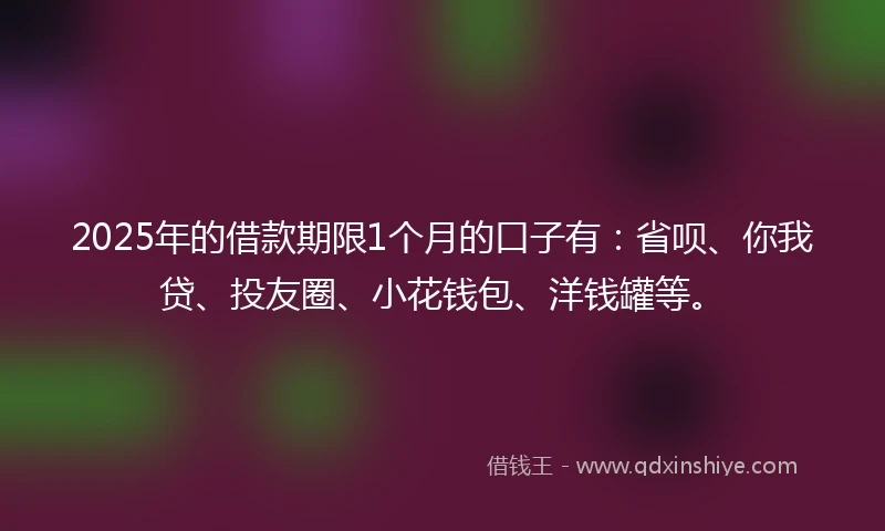 2025年的借款期限1个月的口子有：省呗、你我贷、投友圈、小花钱包、洋钱罐等。