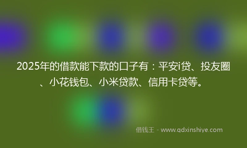 2025年的借款能下款的口子有：平安i贷、投友圈、小花钱包、小米贷款、信用卡贷等。