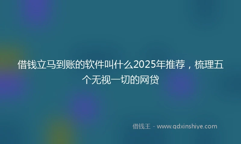 借钱立马到账的软件叫什么2025年推荐，梳理五个无视一切的网贷