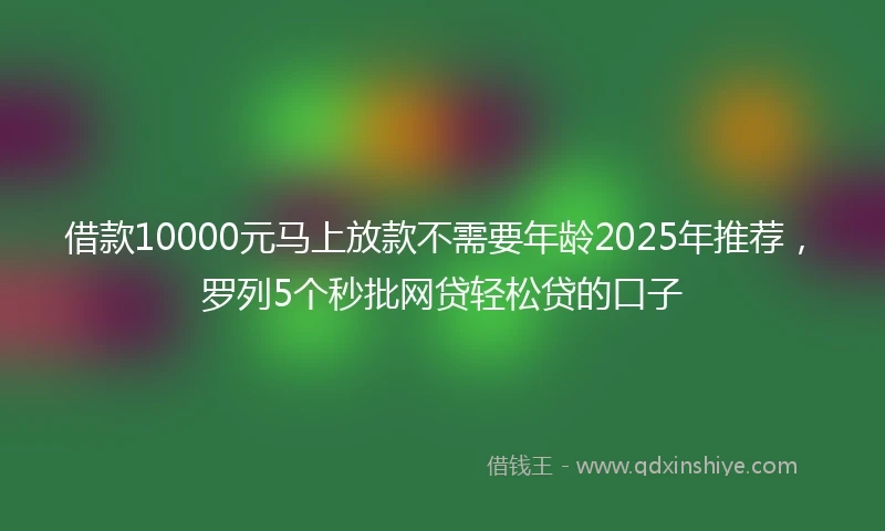 借款10000元马上放款不需要年龄2025年推荐，罗列5个秒批网贷轻松贷的口子